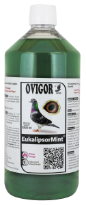 Eukalipsor Mint 1000ml - zdrowy układ oddechowy