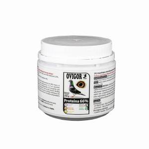PROTEINA 66% 250 g - lekkostrawny 66% koncentrat białkowy