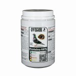 PROTEINA 66% 500 g - lekkostrawny 66% koncentrat białkowy