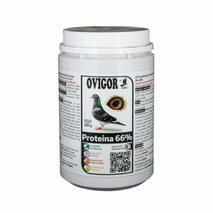 PROTEINA 66% 500 g - lekkostrawny 66% koncentrat białkowy