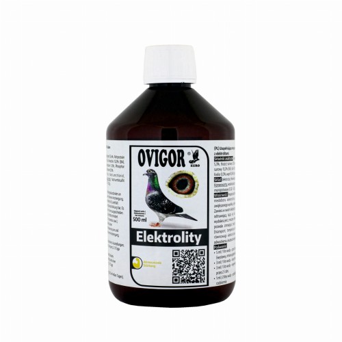 [02-2024][1x1] Elektrolity.jpg