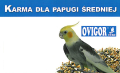 papuga średnia.png